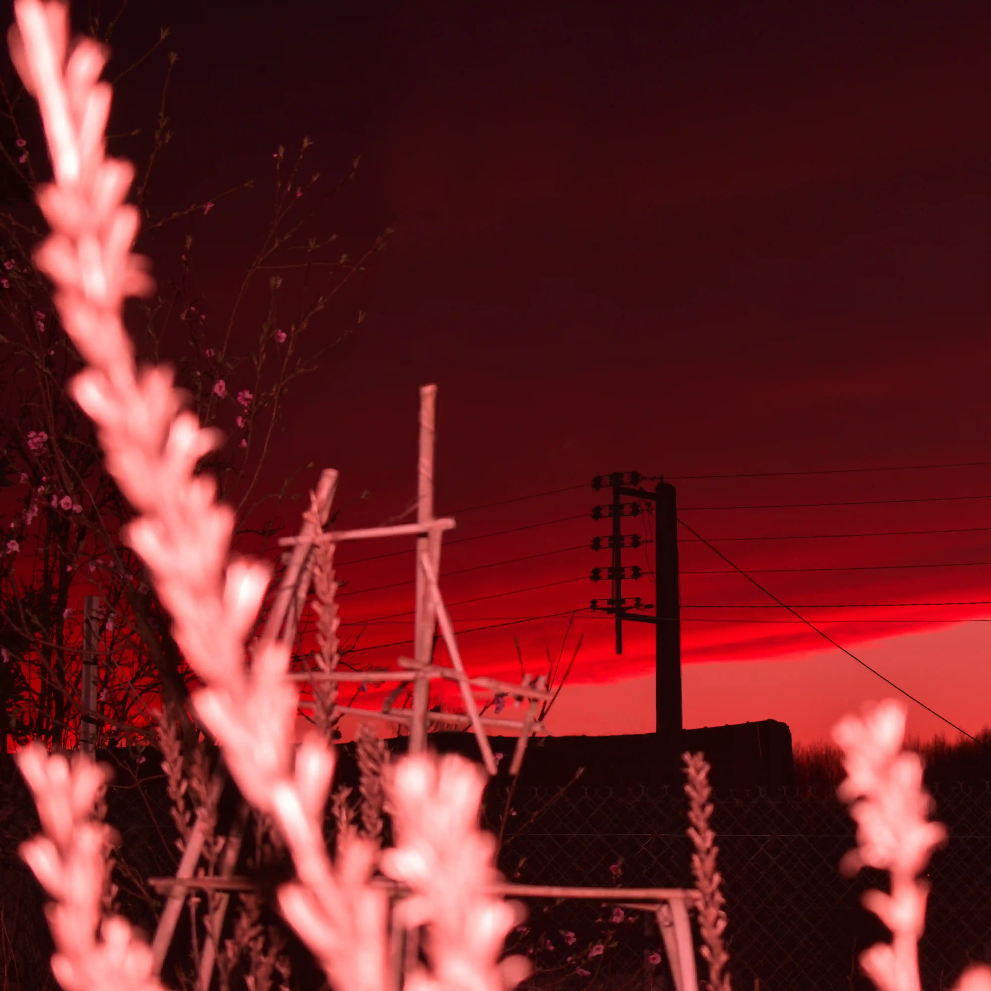 blé au ciel rouge